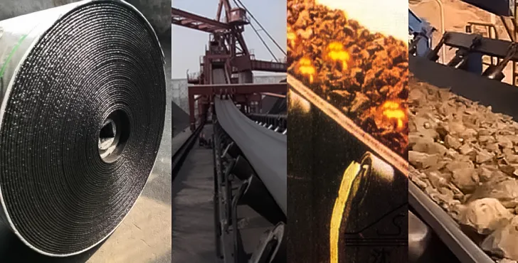 Conveyor Belt