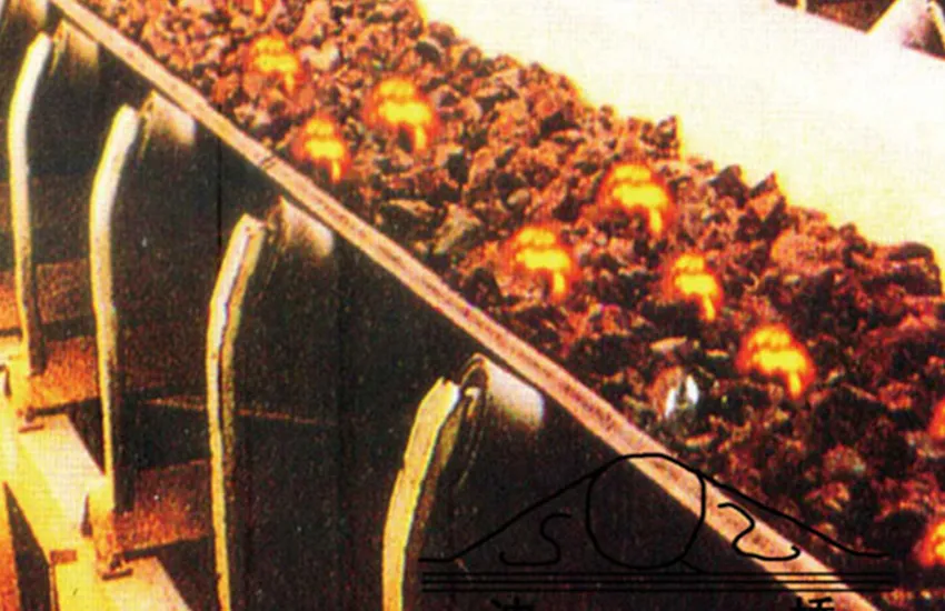 Heat Resistant Belt